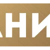 🟠