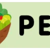 ⭐️