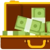 💸