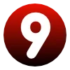 9️⃣