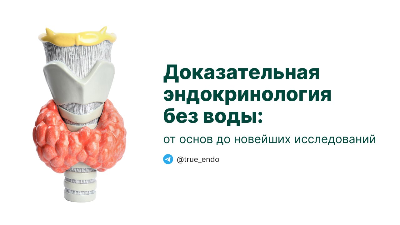 Денис Лебедев | Эндокринология MD.school