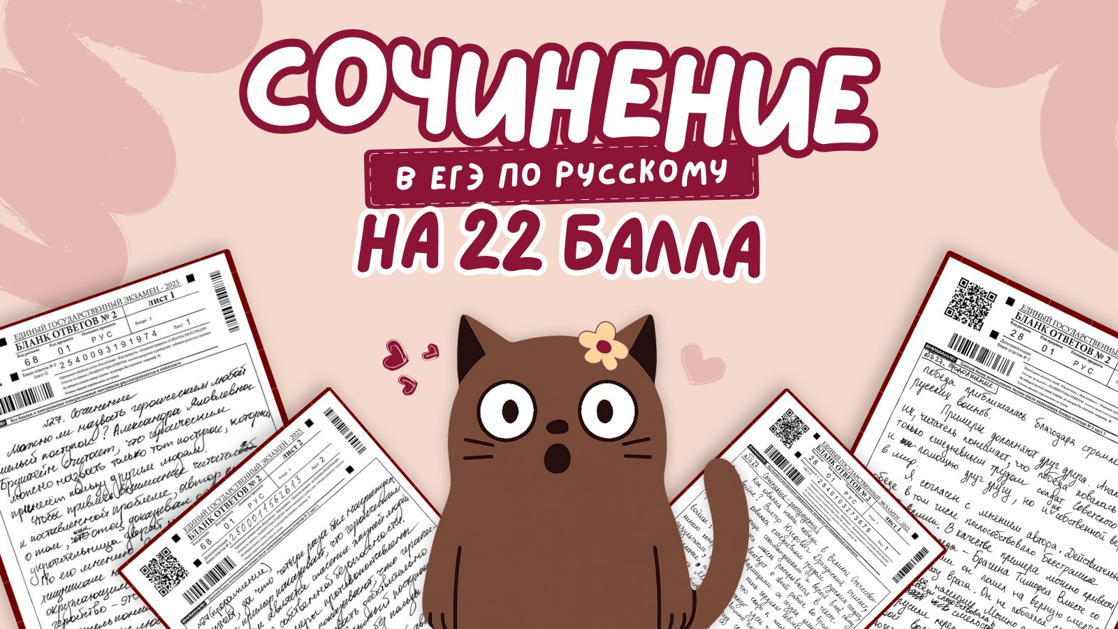 русский и котики / егэ 2026 / стадикэтс