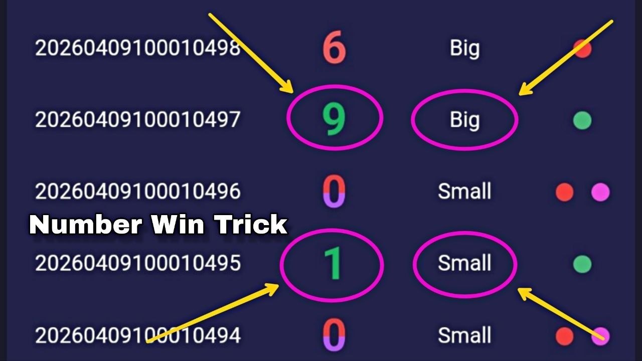 🏅𝔹𝔻𝔾ℙℝ𝕆 🏅